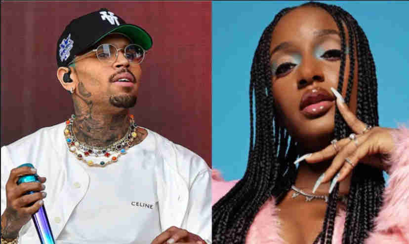 Ayra Starr Steals the Show at Chris Brown's 11:11 Tour